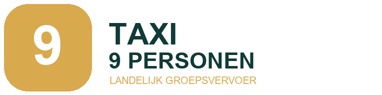 Taxi 9 Personen